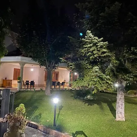 Cycas Дом отдыха