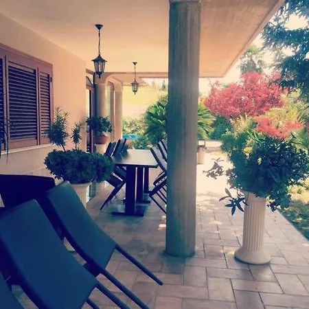 Cycas